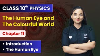 The Human Eye and The Colourful World - Introduction & The Human Eye | Class 10 Physics Chapter 11