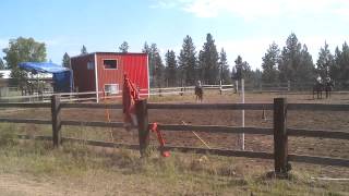 VID-20120708-00001