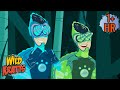 Amazing Chameleon Powers | New Compilation | Wild Kratts