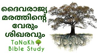 വേരും ശിഖരവും 🌳 16 June  2024