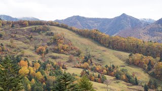 [ 4K ]  20201018 志賀高原山田牧場