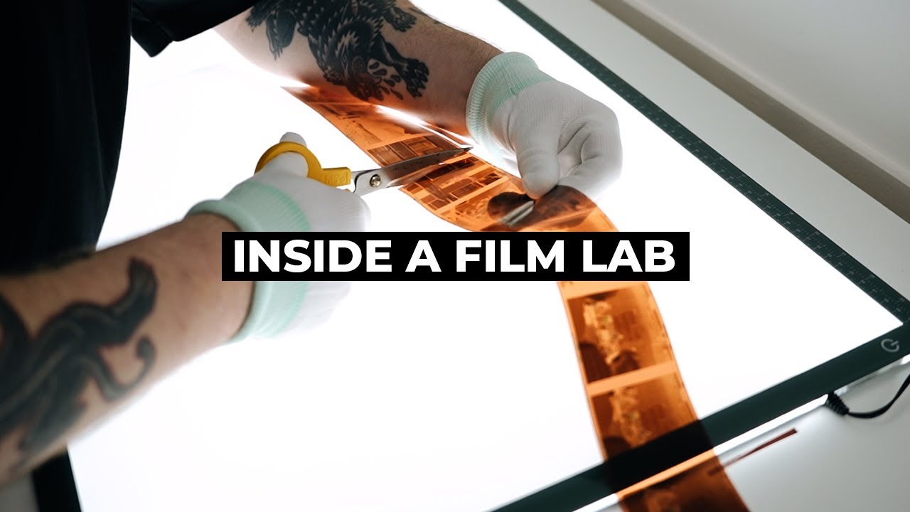 York Photo Labs Film Developing At Julie Solberg Blog