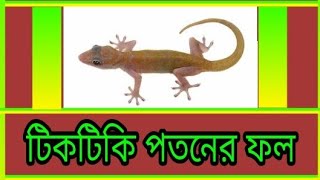 টিকটিকি পতনের ফল///tiktiki potoner fol///Goutam chatterjee