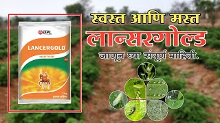 Upl lancergold insecticide | लान्सरगोल्ड संपुर्ण माहीती |Sucking pest Control Krushitech