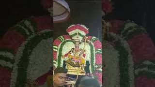 அருள்தரும் ஆதி நாயகி வளைகாப்பு விழா ஊர்வலம்