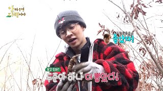 [HOT] Lee Gi-kwang Found Wild Vegetables, 안싸우면 다행이야 20201231