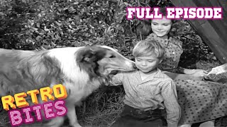 Lassie | Teamwork | Lassie English Full Episodes  🐕