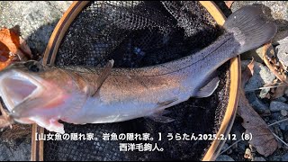 【山女魚の隠れ家。岩魚の隠れ家。】うらたん2025 2 12（8）