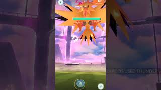 極巨對戰 極巨閃電鳥 寶可夢 GO Pokemo GO  Zapdos