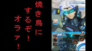 【アナムネシス】鳥をピチュンピチュン撃つ動画　バフあり単騎　ファントマイズ・サイナード討伐　【絶級】