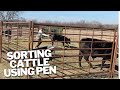 Using Corral to Sort Cattle