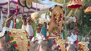 Thullankara pooram _ Thrissur #kerala