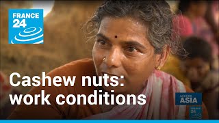 Cashew nuts: Painful working conditions behind popular snack | Access Asia • FRANCE 24 English