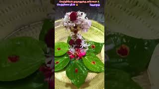 வெற்றில தீபம் 7 வாரம் #murugan #muruganthunai #swamysaranam #vetrilaideepam #tamil