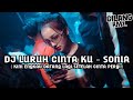 DJ LURUH CINTA KU - SONIA DUGEM BREAKBEAT LAGU INDO GALAU TERBARU 2024