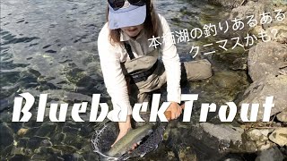 本栖湖 フライフィッシング  秋 ブルーバックトラウト釣り  #lakefishing