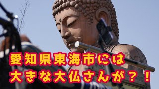 【Vlogシリーズ】東海市・聚楽園公園／ひさむちゃん寝る