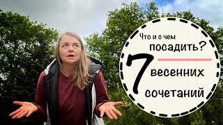 ￼☘️Топ 7  красивейших  сочетаний весны ☘️какие растения сочетаются друг с другом ☘️Стригу лаванду☘️