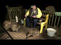 mobbed by raccoons again the whole crew is back for a visit