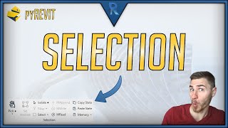 How to Use the Selection Panel in pyRevit | Revit