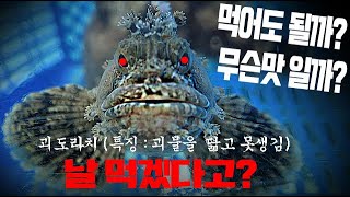 이거 먹어도 되는 거 맞아요? 맛은!? - most ugly fish ever