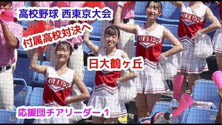 高校野球  西東京大会　日大鶴ヶ丘　応援団チアリーダー　その1　cheerleader　チアダンス