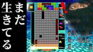 ピンチになると頭が回る説『背水の陣テトリス』【TETRIS 99】