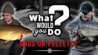 ***NEW CARP FISHING SERIES - WHAT WOULD YOU DO?*** WIN BAIT BUNDLES | DNA BAITS | MANOR FARM LAKES