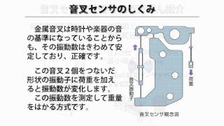 新光電子-音叉センサ方式のご紹介