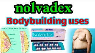 How to use nolvadex ( Tamoxifen 10 mg ) During PCT \u0026 during cycle full explained by kaif cheema