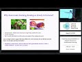 Clustering and generalization of abstract structures in reinforcement learning