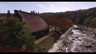 紅葉の荘川の里2018　空撮