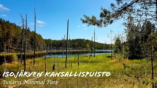 Day Trip to Isojärvi National Park in Finland