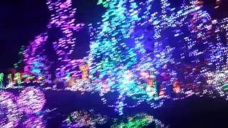 Зима в Британской Колумбии. Light show в Ванкувере.