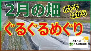 【2025年2月の畑】ボヤキながらのぐるぐるめぐり