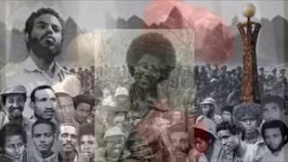 TIgrai TV: ታሪኽ ጅግና ስውእቲ ተጋዳሊት ሃረያ ስባጋድስ