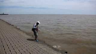 GOLDEN DORADO FISHING IN RIO LA PLATA  黄金河虎路亚钓