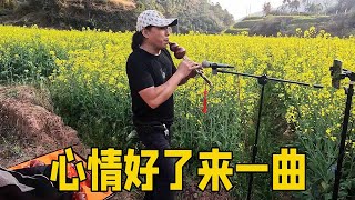 里程表速度传感器换上了，车子修好心情好，油菜花旁吹一曲【流浪的独孤老狼】