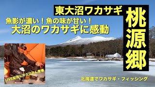 「無限に釣れ続けるワカサギに心も癒される」東大沼ワカサギ桃源郷