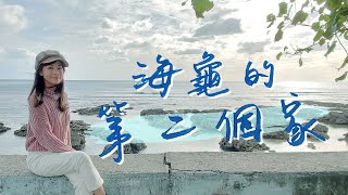 【墾丁保育】直擊海生館收容中心～海龜吃了好多塑膠是真的！一袋海漂換咖啡，邊度假邊守護環境，海景民宿聽著海聲入眠，精緻早餐超享受！｜1000步的繽紛台灣 Ep370