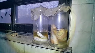 The Largest Abandoned Research Laboratory Complex in the Country - Part 2