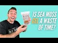 Why You Should STOP Making Sea Moss GEL [this is better]