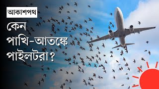 পাখির ধাক্কায় নদীতে অবতরণ করেছিল যে প্লেন | Plane Landed in The River |  Prothom Alo