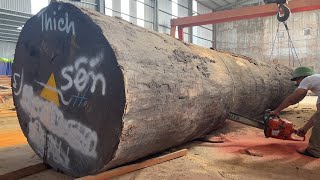 Sawn Cheesy Wood Huge In The Factory || Biggest Woodworking Heavy Sawmill Cutting Wood