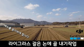 라이그라스 작업하기 좋게 배수를 용이하게 만들기 #농사 #농사노하우