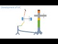 inferior vena cava development