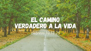 El Camino Verdadero a La Vida (Hebreos 10:18-25), Miguel Ayala