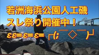 「コノシロすれ祭り」😭若洲海浜公園人口磯ルアーフィッシング