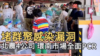 堵群聚感染漏洞 北農4公司.環南市場全面PCR@globalnewstw