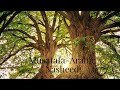 Mustafa Arabic Nasheed | best 2020 nasheed | by Mahmud Huzaifa